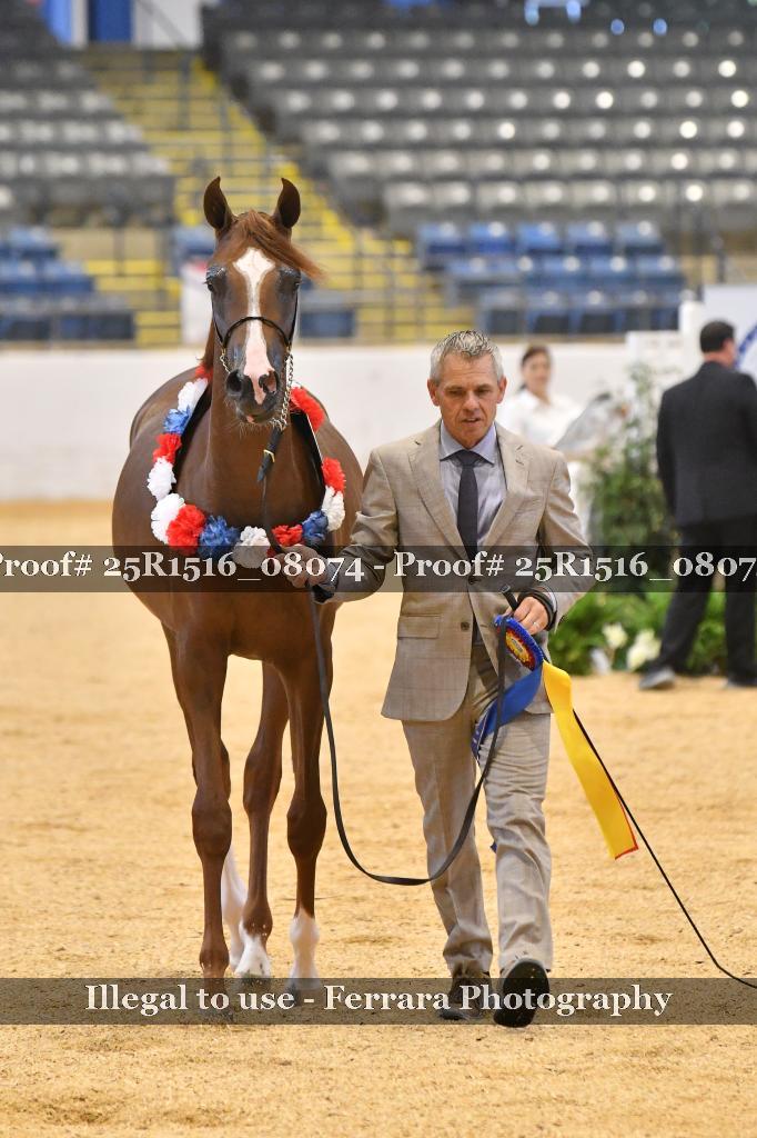 Proof 25R1516_08074