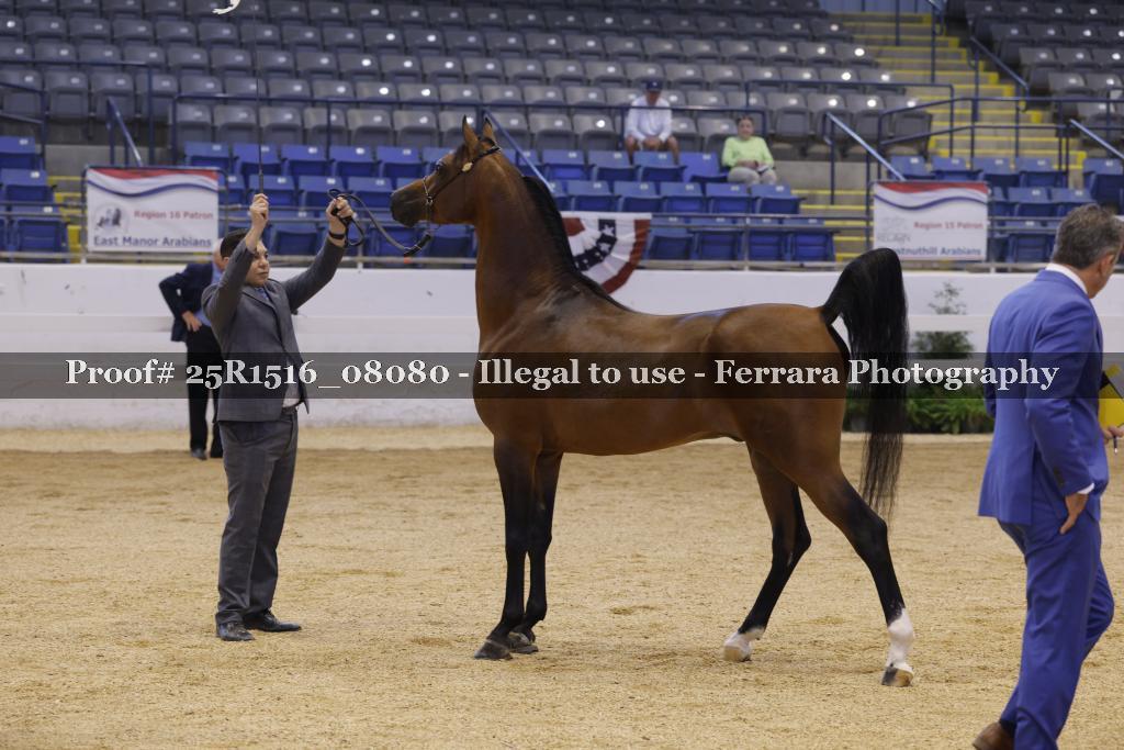 Proof 25R1516_08080