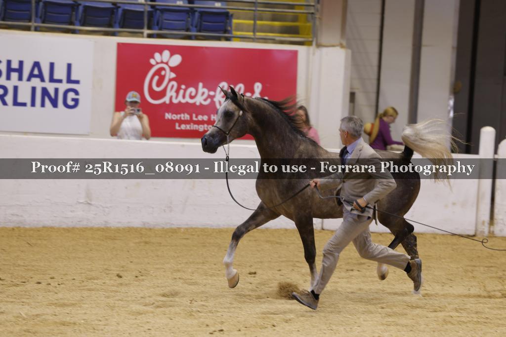 Proof 25R1516_08091