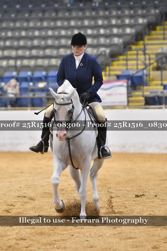 Proof 25R1516_08306