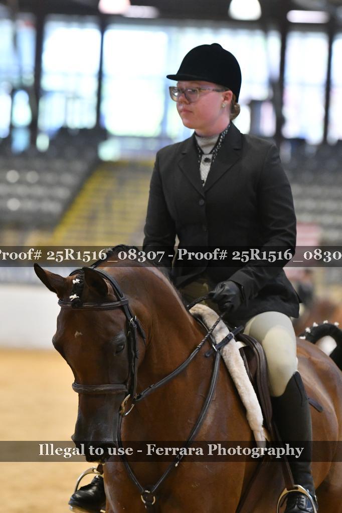Proof 25R1516_08307