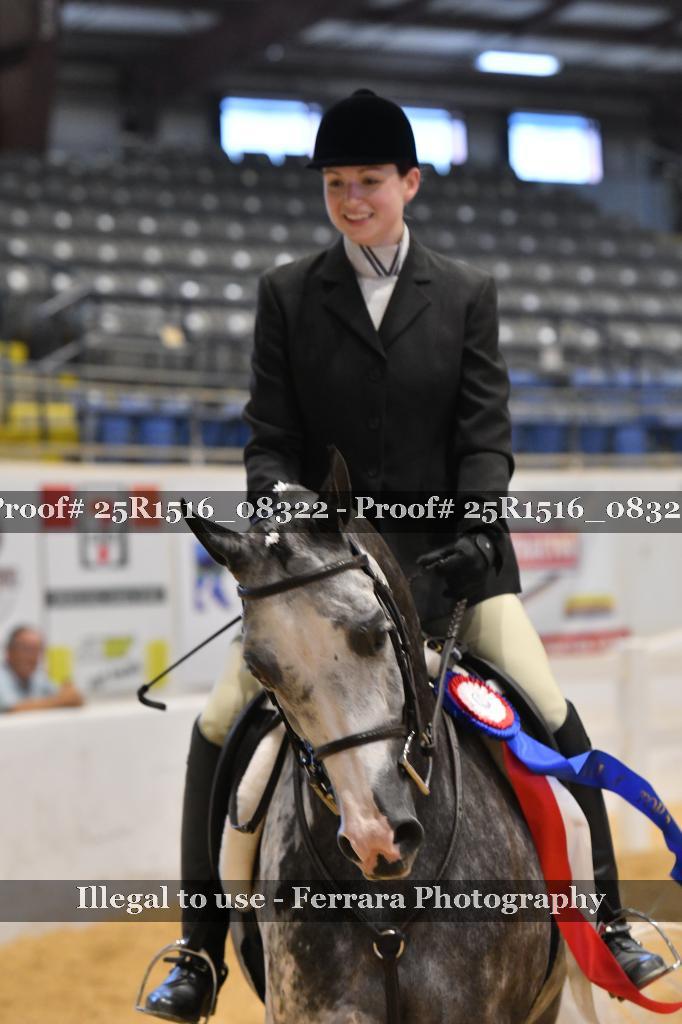 Proof 25R1516_08322