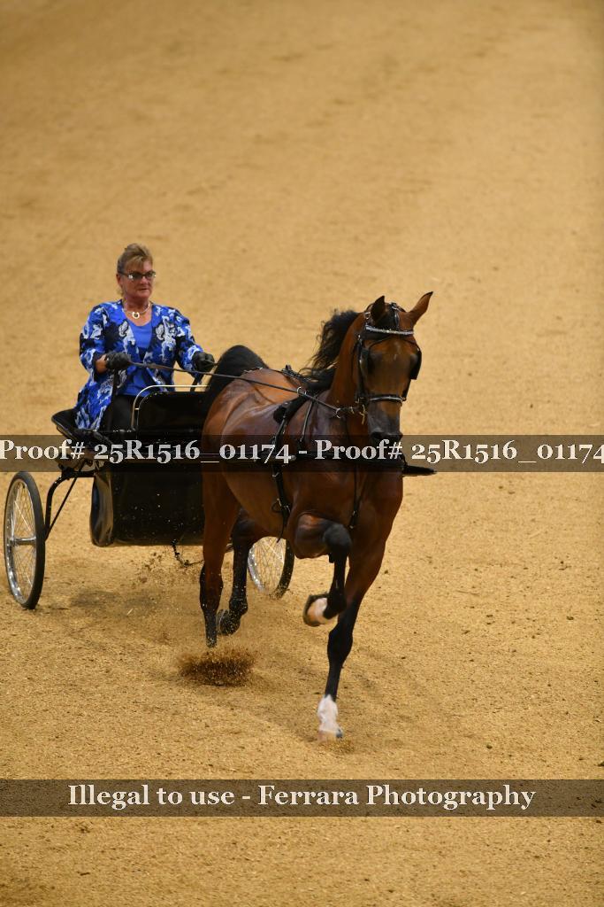 Proof 25R1516_01174