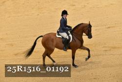 25R1516_01192 proof