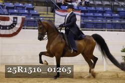 25R1516_01265 proof