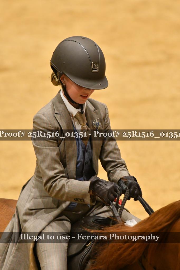 Proof 25R1516_01351