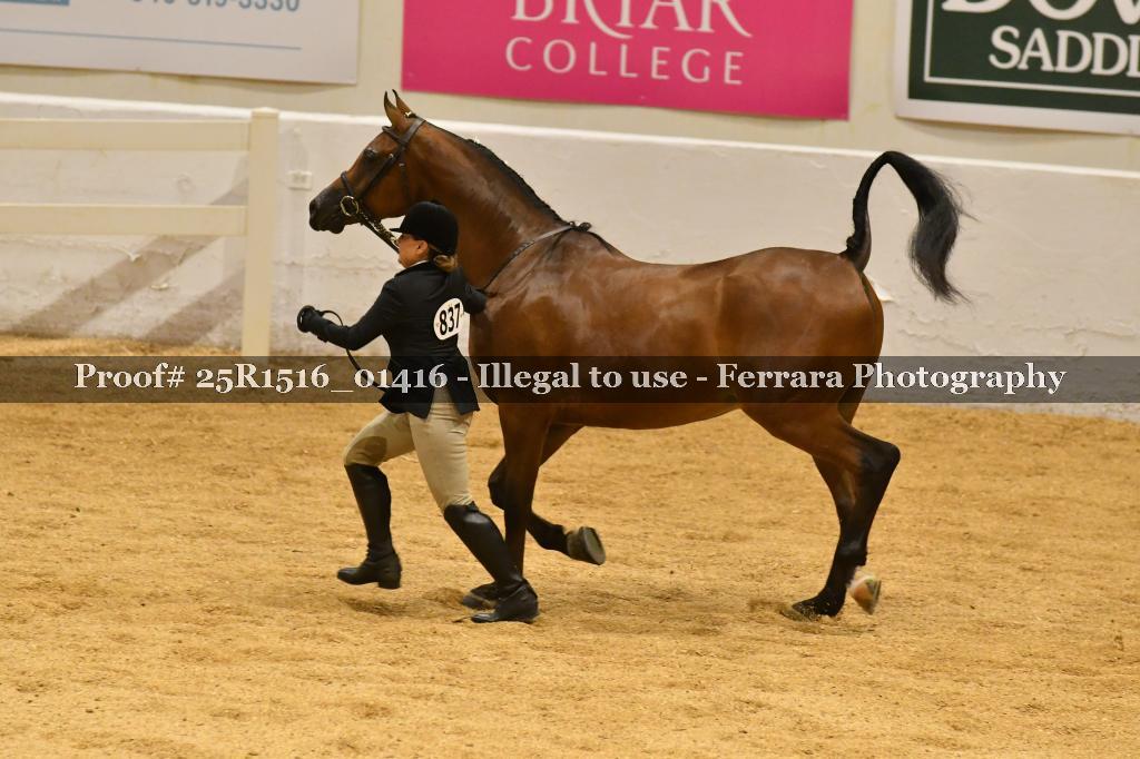 Proof 25R1516_01416