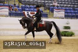 25R1516_01643 proof