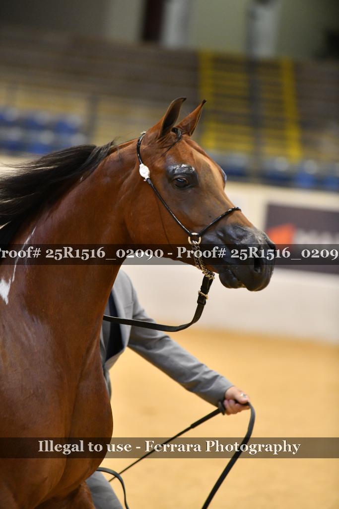 Proof 25R1516_02090
