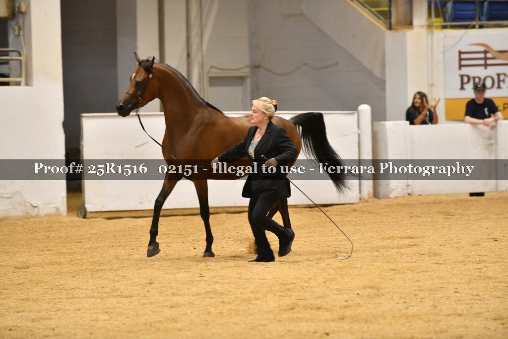 Proof 25R1516_02151
