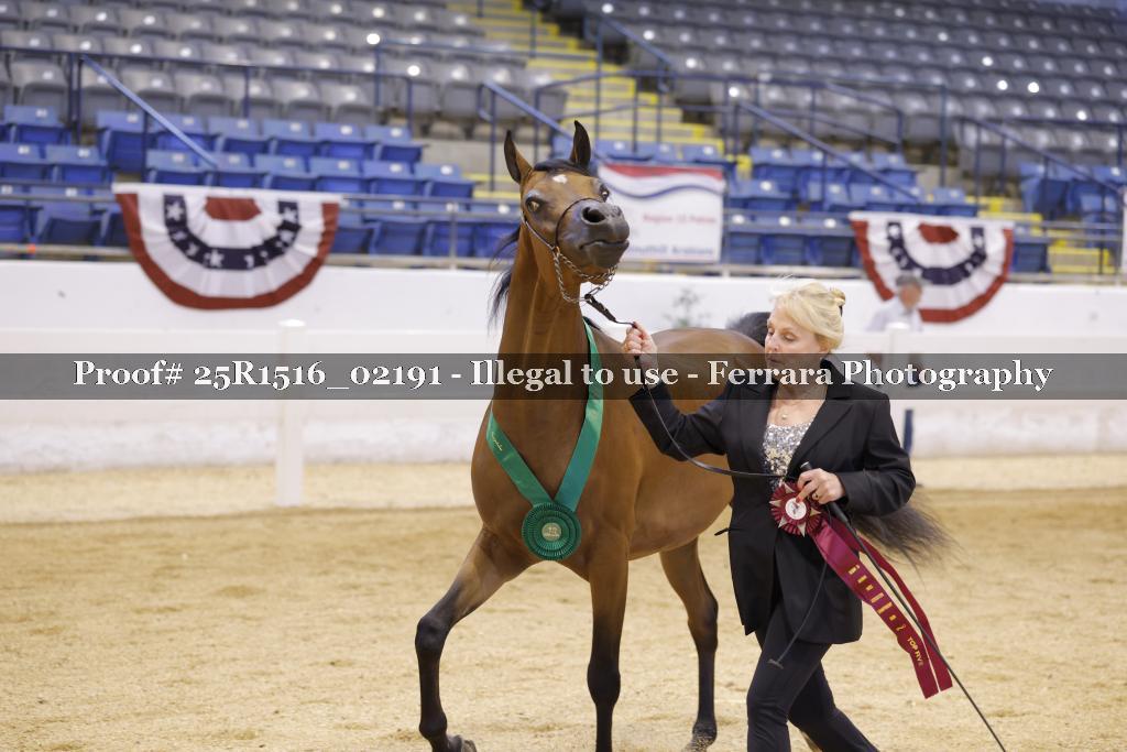 Proof 25R1516_02191