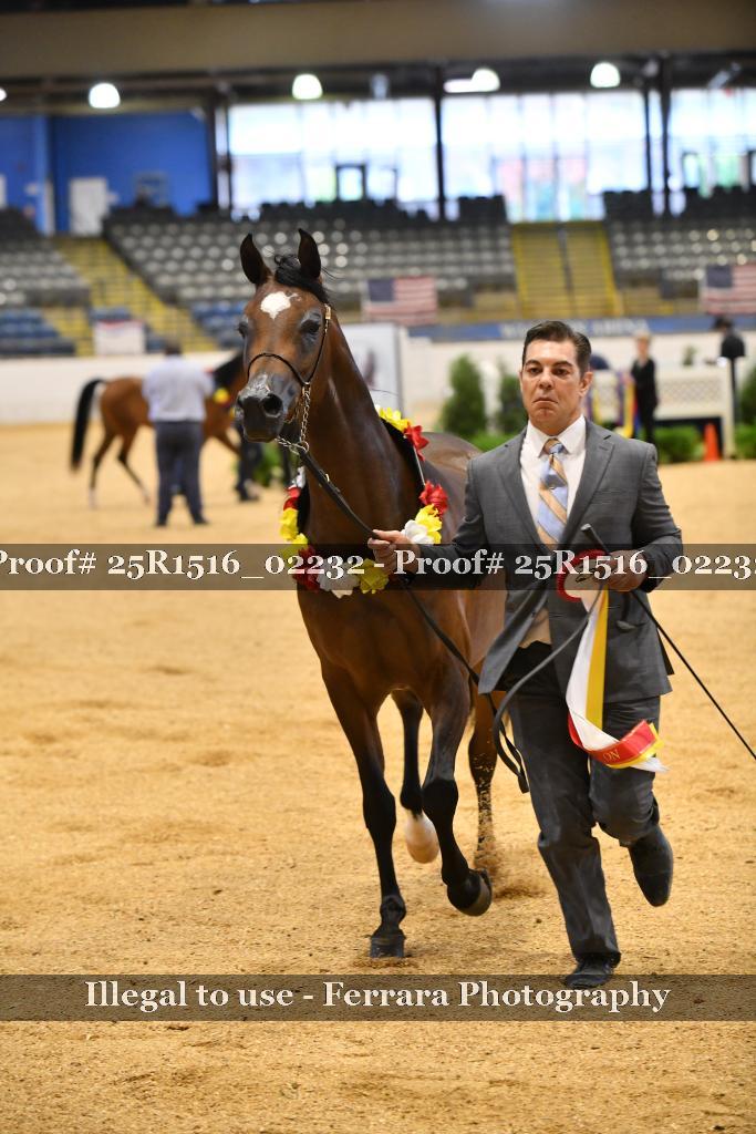 Proof 25R1516_02232