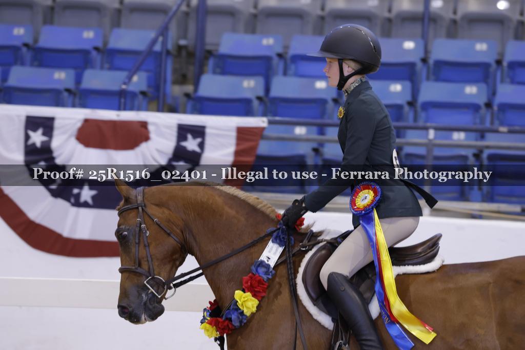 Proof 25R1516_02401