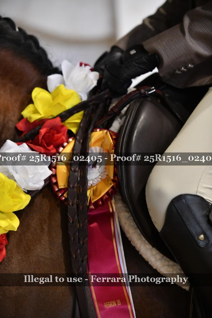 Proof 25R1516_02405