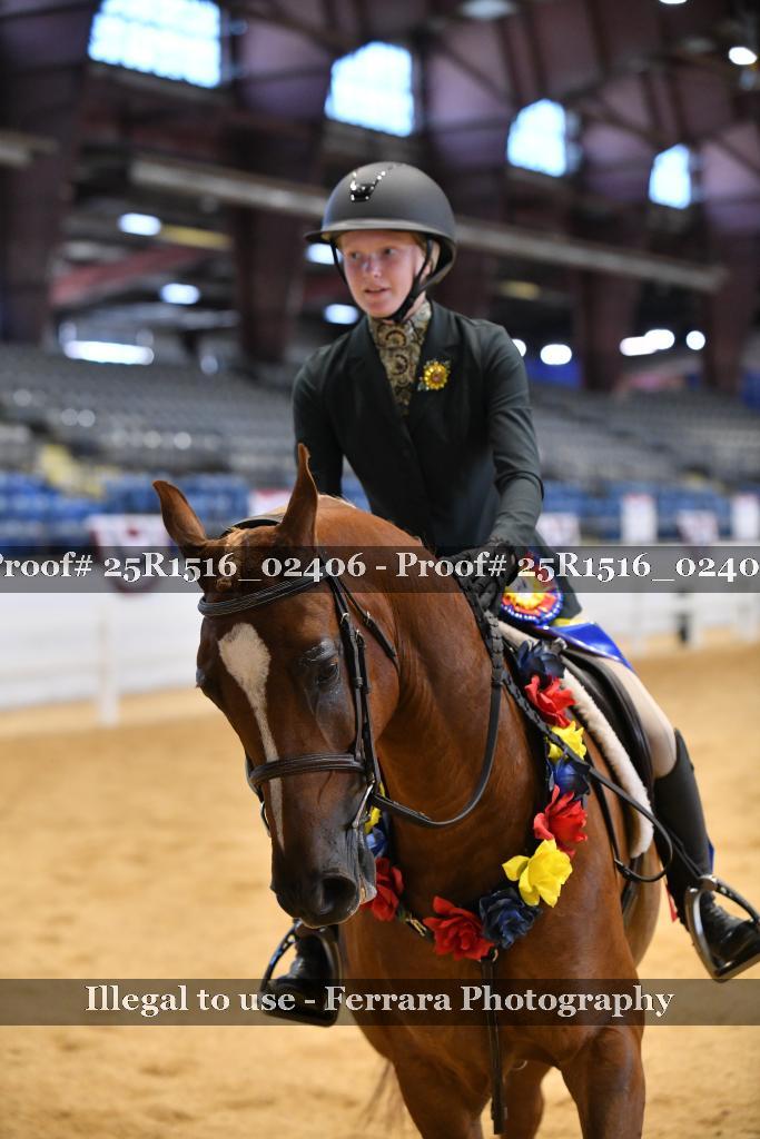 Proof 25R1516_02406