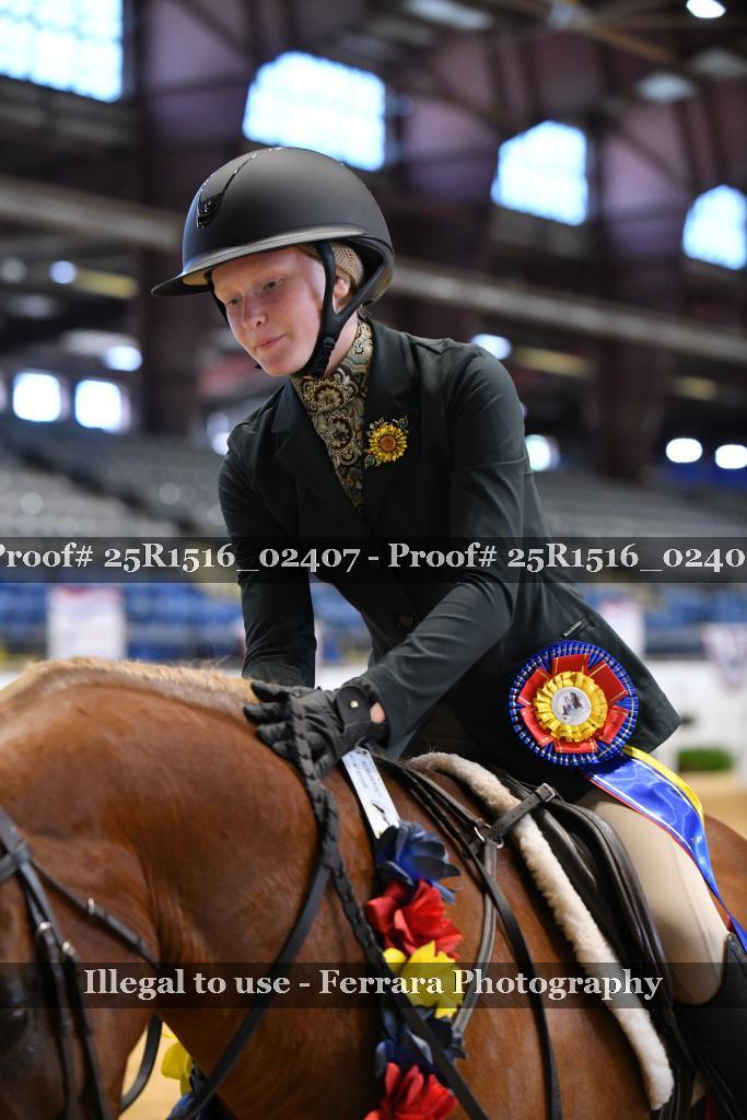 Proof 25R1516_02407