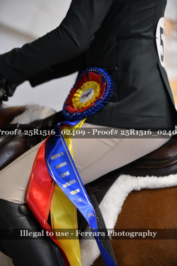 Proof 25R1516_02409