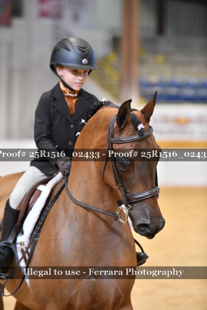 Proof 25R1516_02433