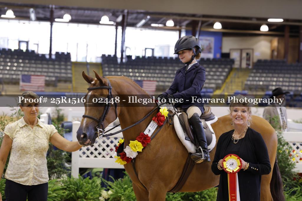 Proof 25R1516_02448