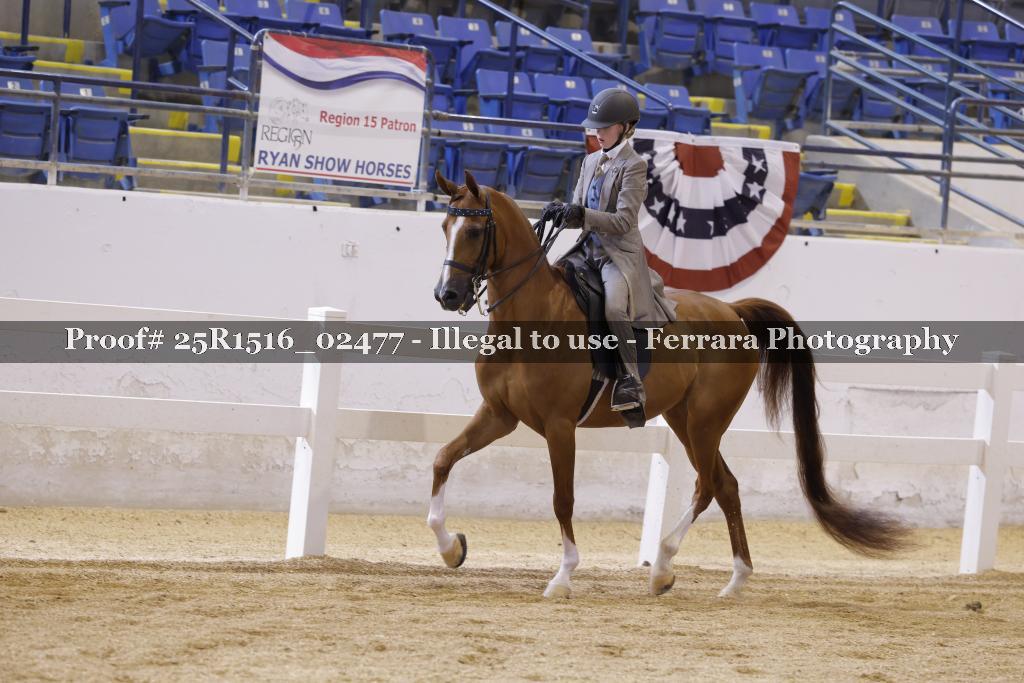Proof 25R1516_02477