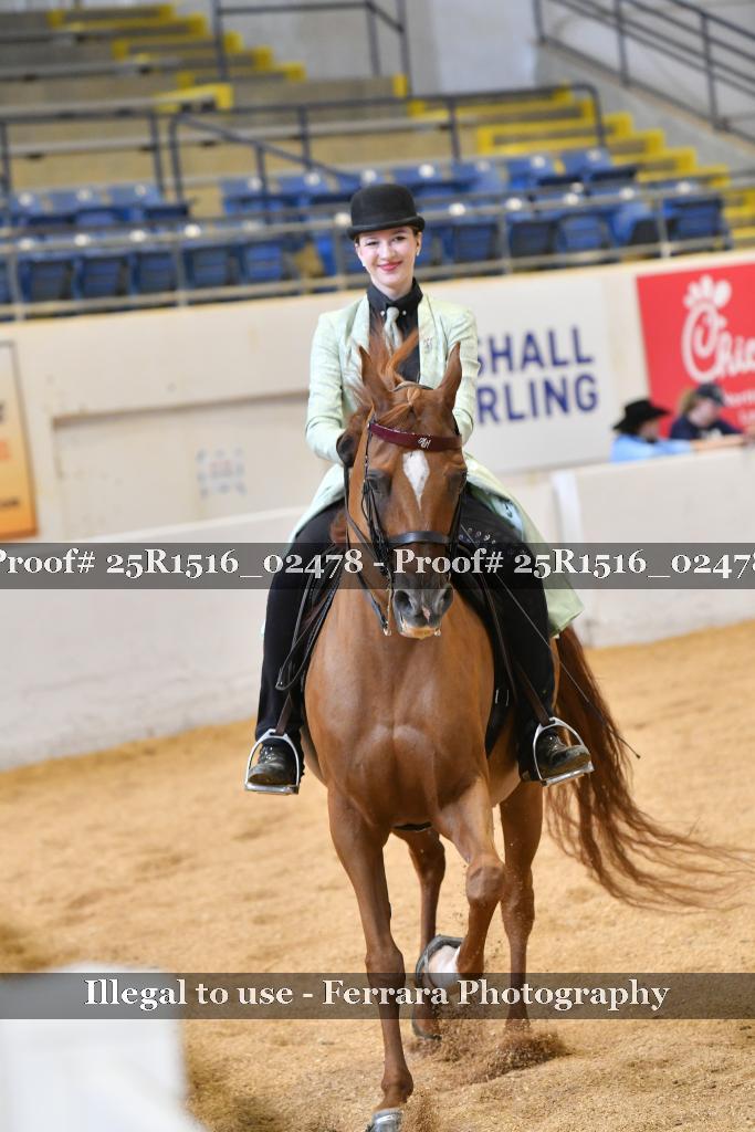 Proof 25R1516_02478