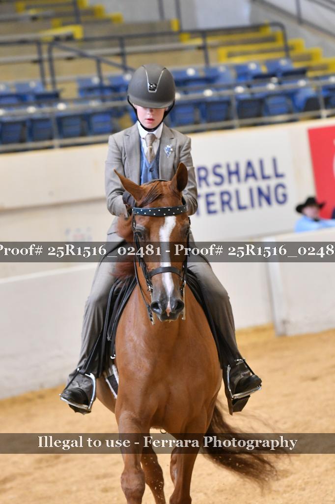 Proof 25R1516_02481