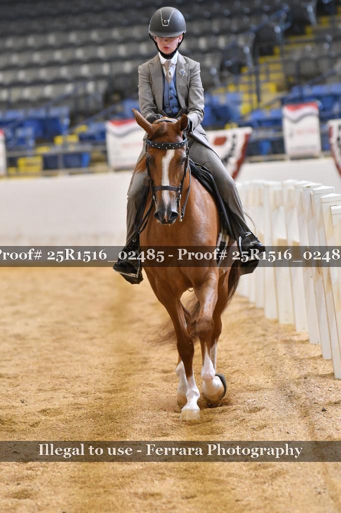 Proof 25R1516_02485