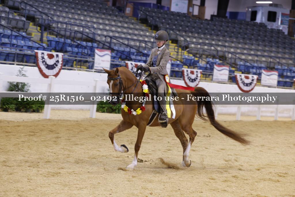 Proof 25R1516_02492