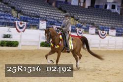 25R1516_02492 proof
