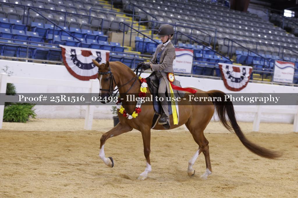 Proof 25R1516_02493