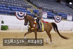 25R1516_02493 proof