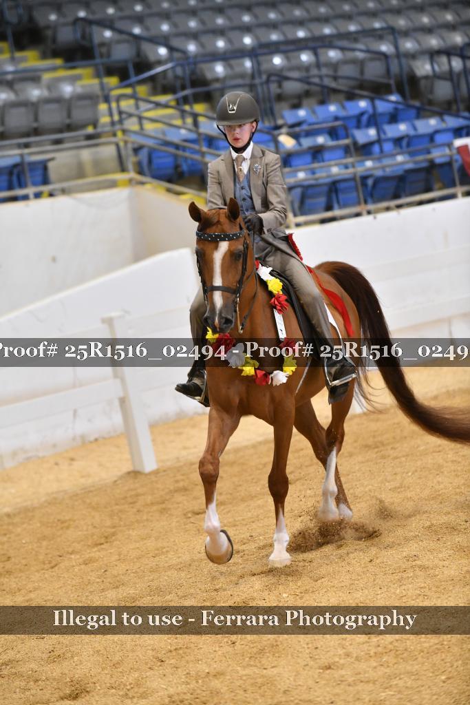 Proof 25R1516_02494