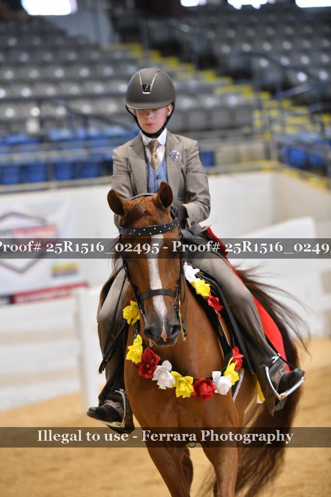 Proof 25R1516_02495