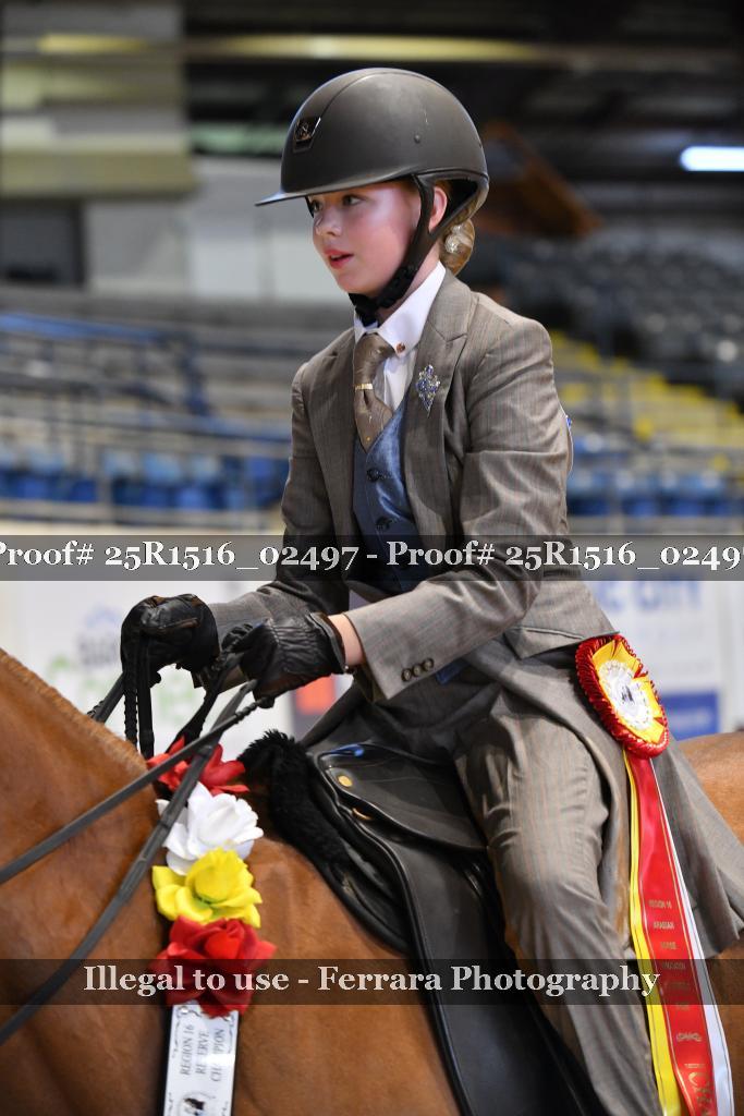 Proof 25R1516_02497