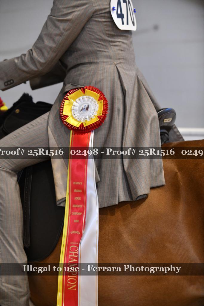 Proof 25R1516_02498