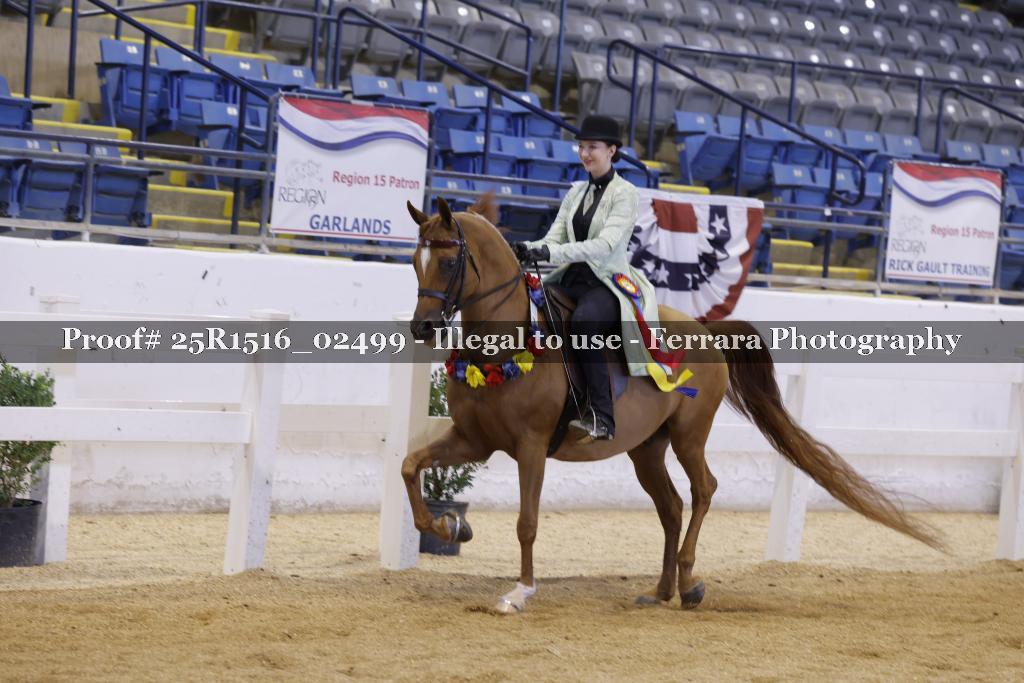 Proof 25R1516_02499