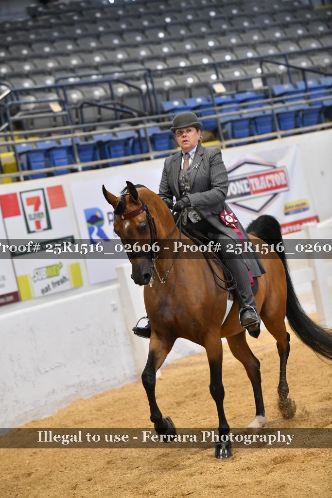 Proof 25R1516_02606