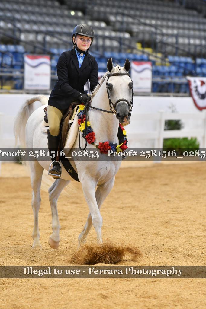 Proof 25R1516_02853