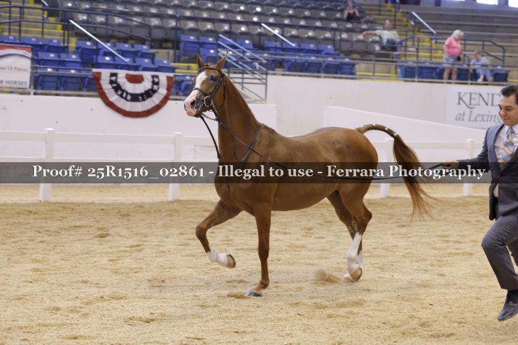 Proof 25R1516_02861