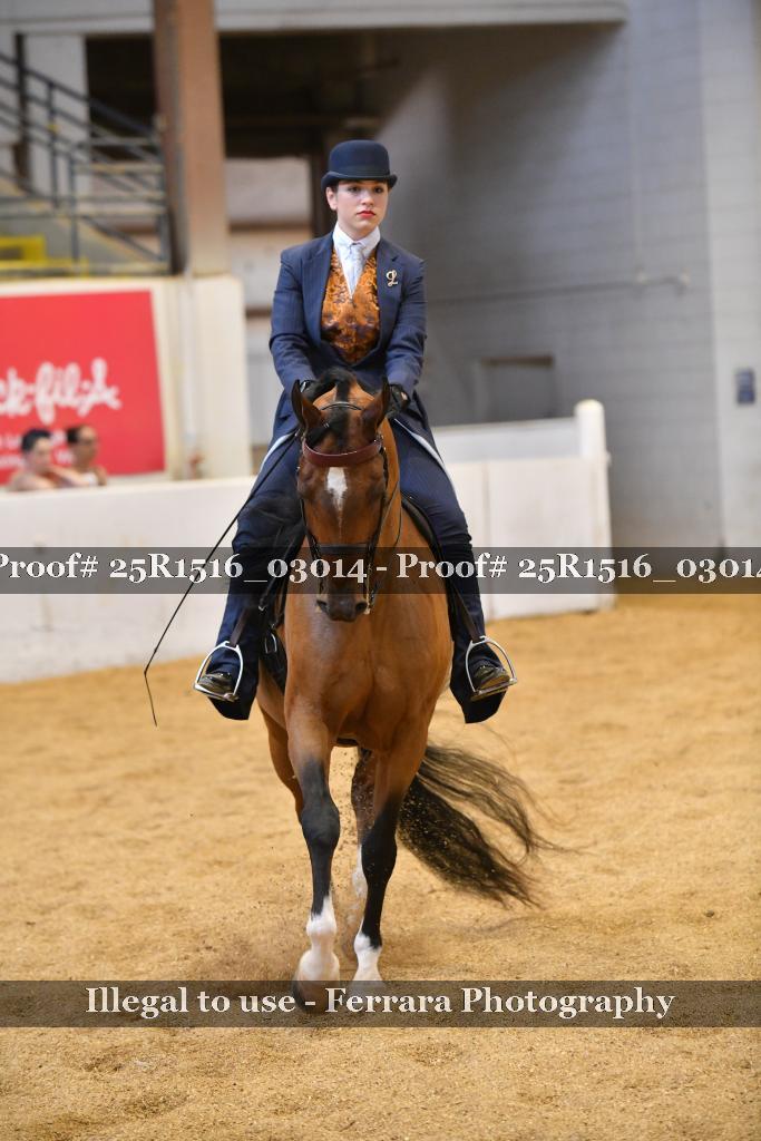 Proof 25R1516_03014