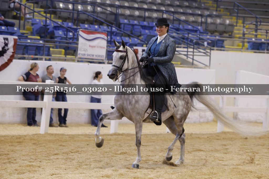 Proof 25R1516_03020