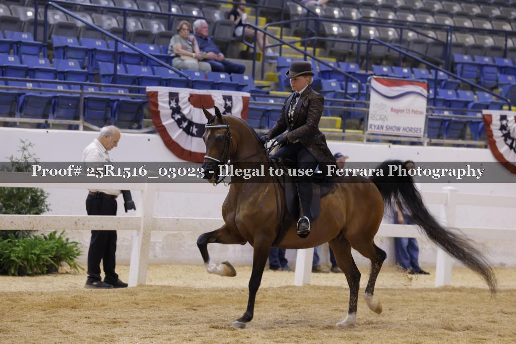 Proof 25R1516_03023