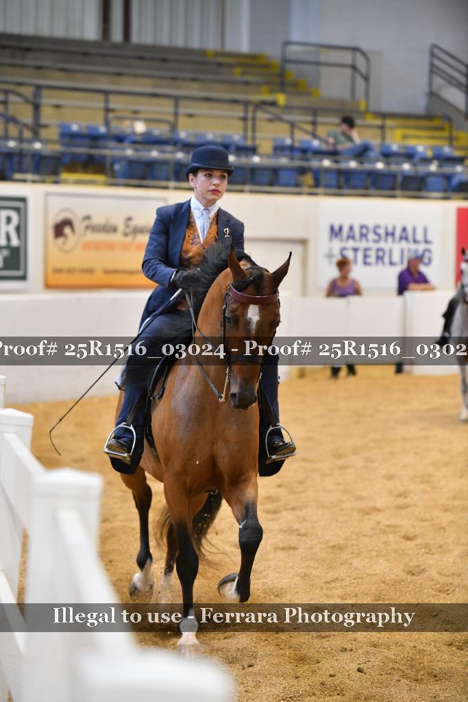 Proof 25R1516_03024
