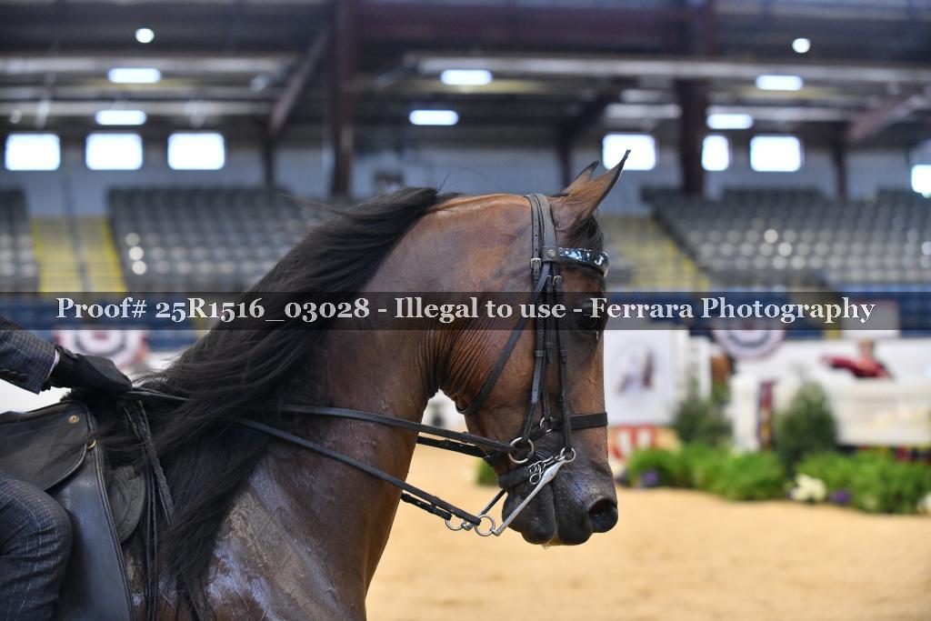 Proof 25R1516_03028