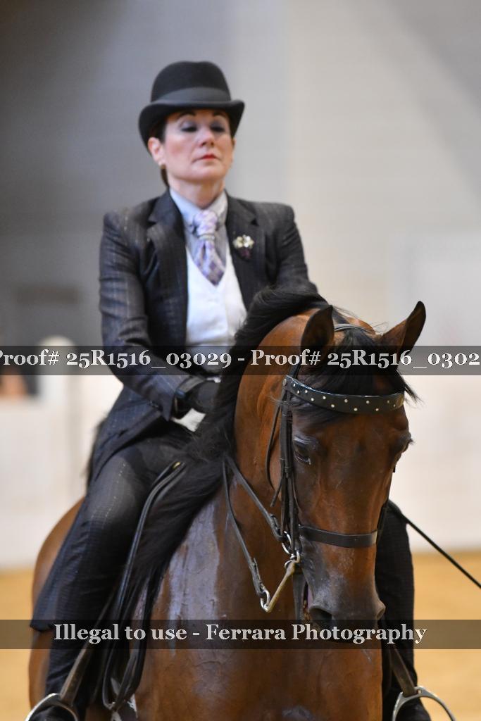 Proof 25R1516_03029