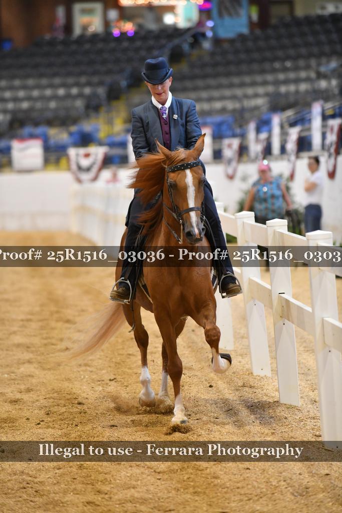 Proof 25R1516_03036