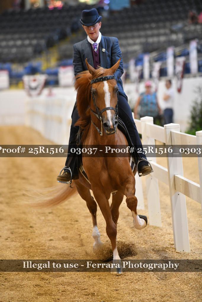 Proof 25R1516_03037