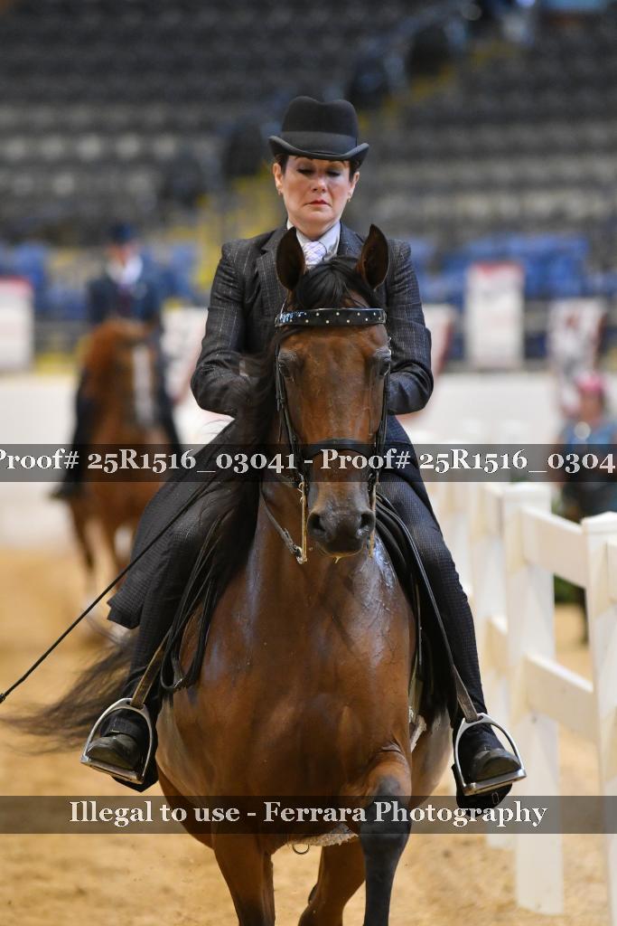 Proof 25R1516_03041