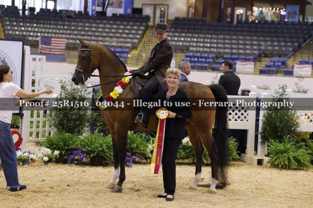 Proof 25R1516_03044
