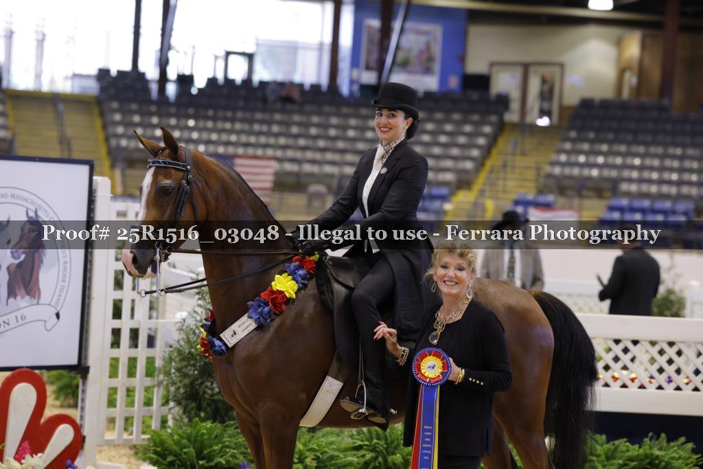 Proof 25R1516_03048